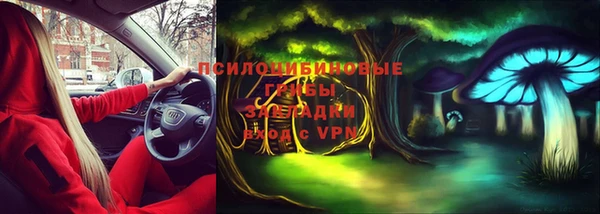 гашик Алексин