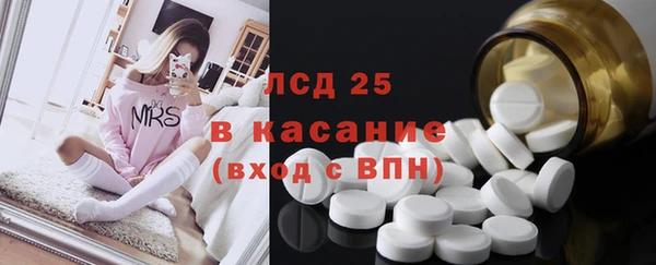 гашик Алексин