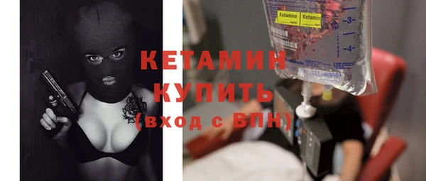 гашик Алексин