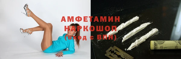 гашик Алексин