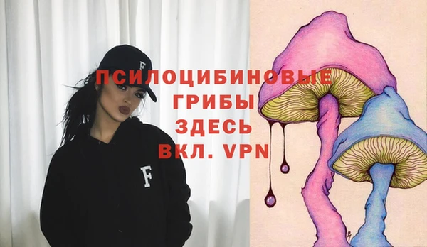 прущие крисы Алзамай