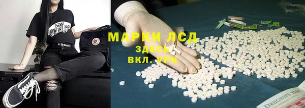 гашик Алексин