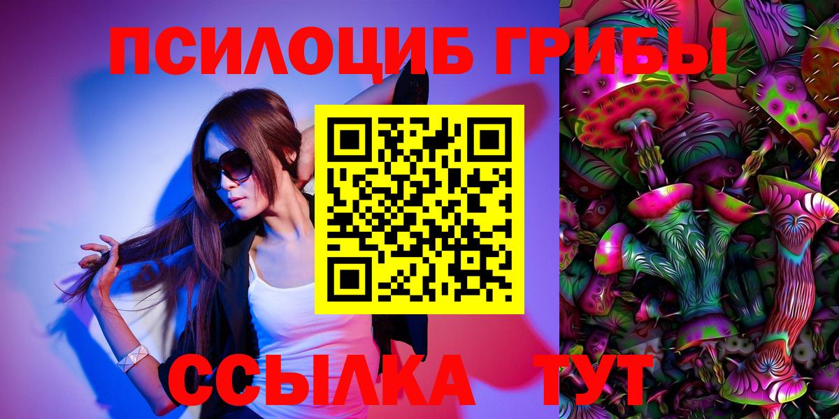Псилоцибиновые грибы Psilocybine cubensis Нижний Тагил