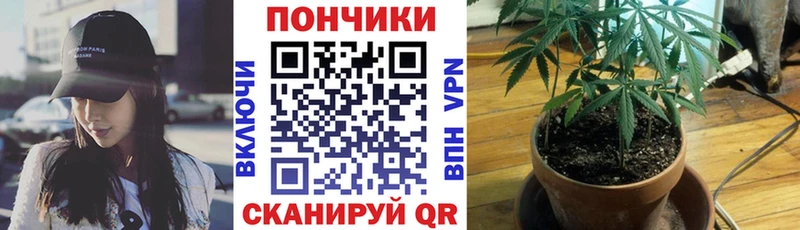 Канабис SATIVA & INDICA  купить закладку  Нижний Тагил 